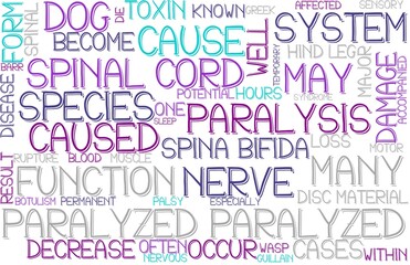 Paralyzed Wordcloud Banner, Wallpaper, Background, Book Cover, Wordart