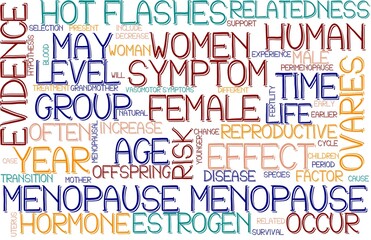 Menopause Wordcloud Banner, Wallpaper, Background, Book Cover, Wordart
