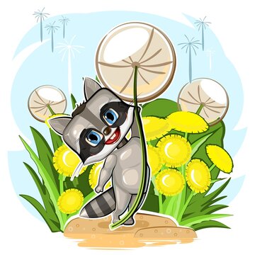 Little Raccoon flies on a dandelion. Funny comic baby animal. Summer meadow with flowers. Cute cartoon style. Childrens clipart illustration isolated on white background. Vector