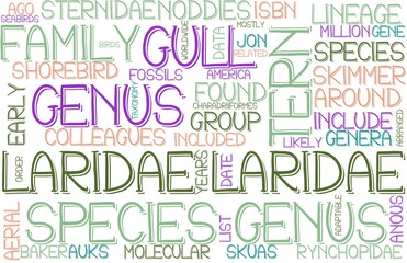 Laridae Wordcloud Banner, Wallpaper, Background, Book Cover, Wordart