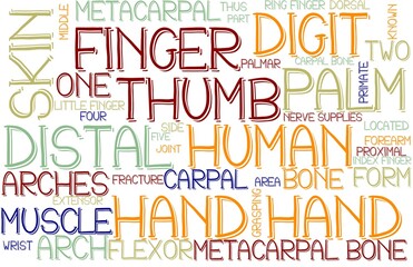 Hand Wordcloud Banner, Wallpaper, Background, Book Cover, Wordart
