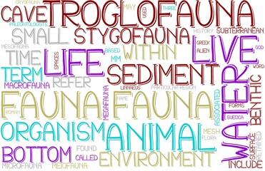 Fauna Wordcloud Banner, Wallpaper, Background, Book Cover, Wordart