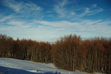 Winter landscape in Passo Lanciano (Majelletta) - Abruzzo