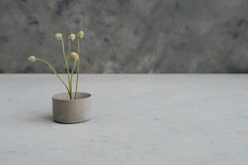 Empty pedestal or product display concrete podium with dry minimalistic flowers and nature leaves on green background. Copy space.