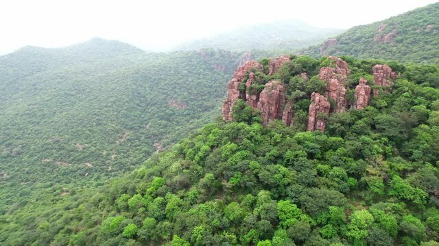 Aerial view of Forest Behind Cliff
