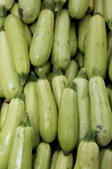 Freshly picked vegetable marrows at a local farmers market 