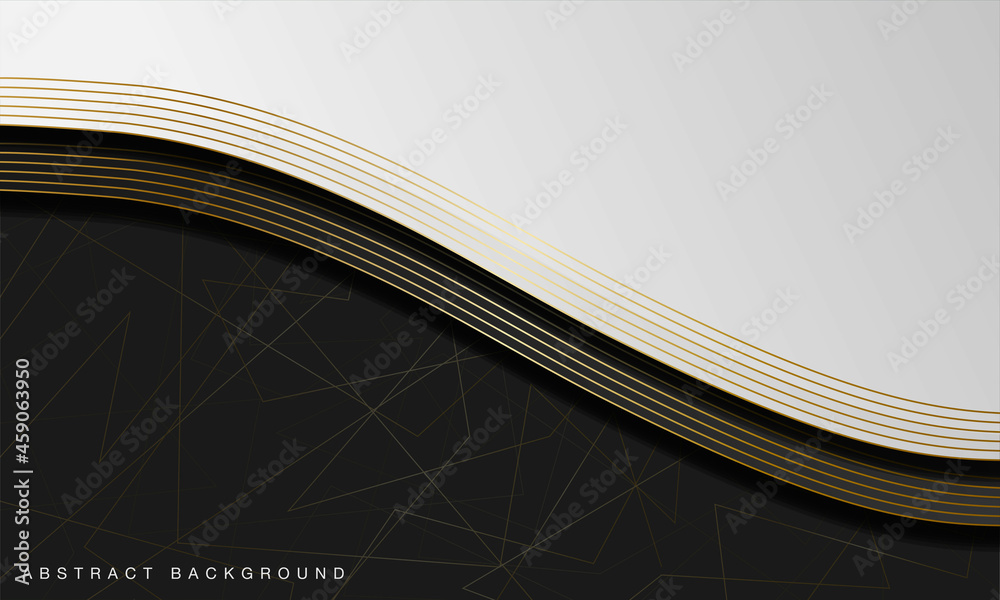 Wall mural elegant abstract black and white curve background with line golden elements. realistic luxury 3d mod - Wall murals