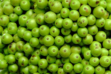 Ficus variegata
The fruit is useful for nearby animals and as a medicine for several diseases.