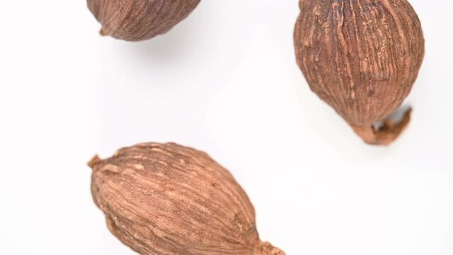 top view herb CaoGuo or Tsaoko Fructus or Tsaoko Amomum Fruit rotating