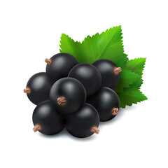 Blackcurrant berry with green leaves realistic 3d vector illustration isolated on white background.