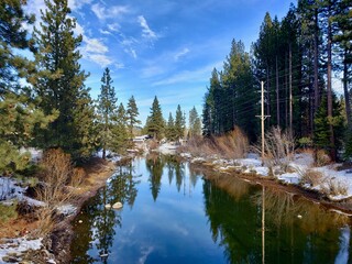 Reflections of trees in the river at tahoe city 