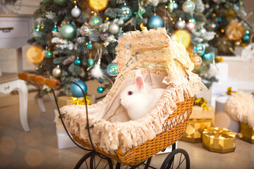 A white rabbit sits inside a retro baby stroller for dolls. Christmas vintage decor, Christmas tree with lights garlands. New Year. Pets at home