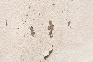 Abstract old white concrete wall with peeling paint