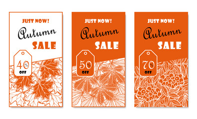 Autumn sale banner with fallen maple and horse chestnut leaves and rowan branches that says Just now, Autumn sale. Promo advertising poster, Store discount flyer or Off voucher. Abstract floral