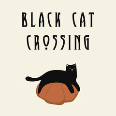 Quote black cat crossing. Halloween festive card with black tomcat and orange pumpkin. Vector illustration of lettering, cat and gourd. Design for print, poster, banner, greeting card