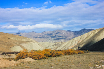Yellow trees by the river. Khizi region. Azerbaijan.