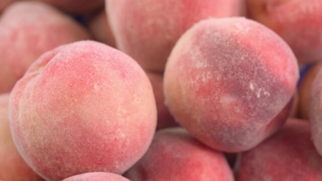 Ripe peaches spinning in a circle