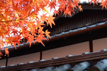 京都　嵐山の紅葉