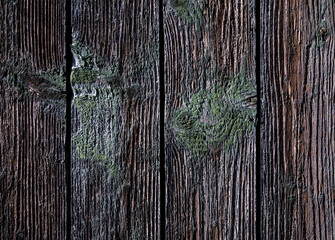 Texture of old wood