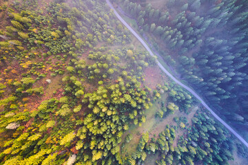 Top view of a beautiful misty valley with a road and river below. Tourist hike in the autumn in the mountains. Fog in a beautiful lowland