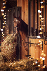 The horse is in the stable. There is hay and New Year's lights around. A Christmas story.