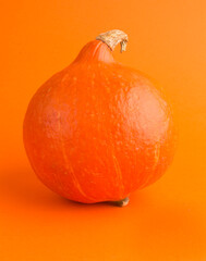 pumpkin on orange background