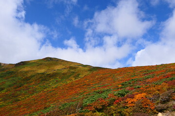 栗駒山の紅葉。栗原、宮城、日本。10月上旬。