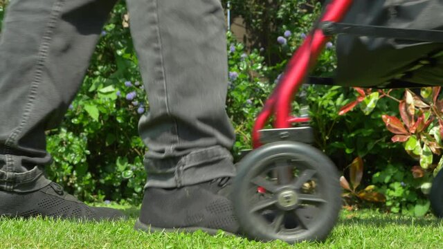 Close POV ground level shot of an elderly person&rsquo;s lower half pushing a rollator / adult stroller on grass with bushes in the background.