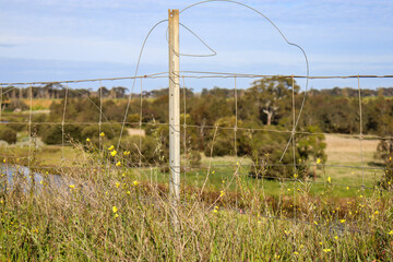 fence post with tangled wire