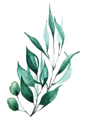 Isolated leaves branch arrangement. Traced vector watercolor. Hand drawn illustration on white background. Water colour drawing.