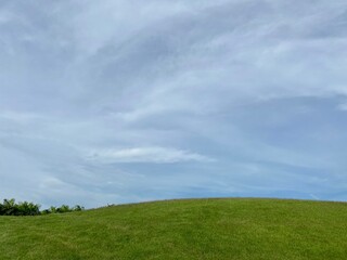 green grass and blue sky