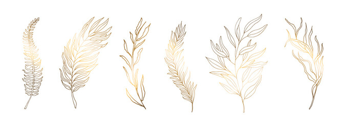 Set golden leaves. Silhouettes of golden branches with leaves. The illustration is decorated in a modern minimalist style. On white background. Vector file