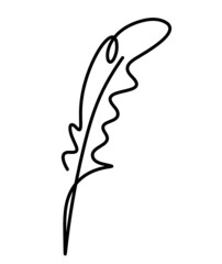 Silhouette of abstract feather as line drawing on white