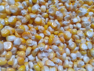popcorn close up