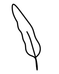 Fototapeta premium Silhouette of abstract feather as line drawing on white. Vector