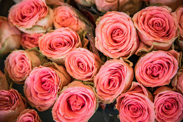 Obraz premium bouquet of roses