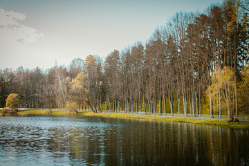 Picturesque sunset over the river, forest in the distance