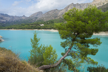 pine tree and turquoise blue water of the Guadalest lake in the mountains travel and relaxation background