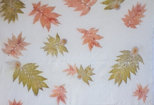 Background from the fabric of the leaf print. Eco Prince. Handmade. The only piece in the world. Fragment of hand-dyed fabric using eco-print technique