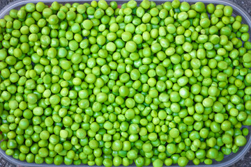 A Green peas on nature in the garden agriculture background