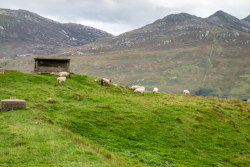 The ruins of Lenan Head fort at the north coast of County Donegal, Ireland.