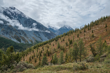 Altai mountains near Belukha  Mountain 