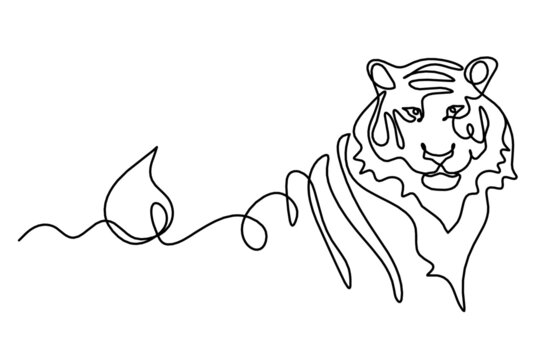 Silhouette of abstract tiger as line drawing on white. Vector