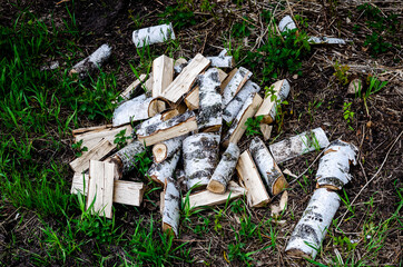 On a cloudy spring day, freshly cut birch firewood is randomly scattered in a pile