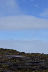 a scene from the top of Mount Roraima