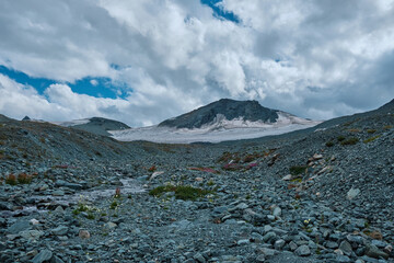 Altai mountains near Belukha  Mountain 