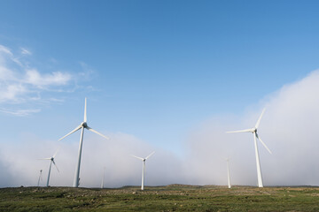 Renewable green energy in the form of wind farms