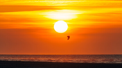 Kitesurfing on the water during the setting sun, Ameland, north sea, wadden sea 