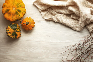 Autumn still life with pumpkins on the table, top view. Visual picture. © Tatyana
