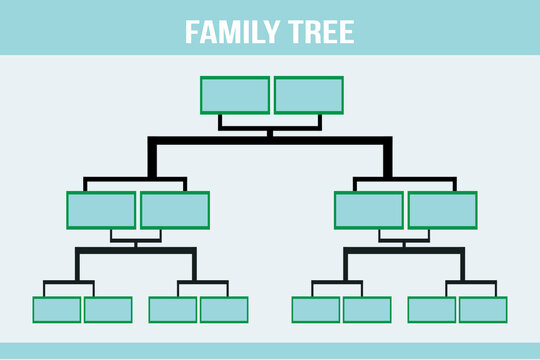 Family Tree info-graphic vector illustration.  Genealogical concept.